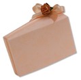 Pink Favor Box